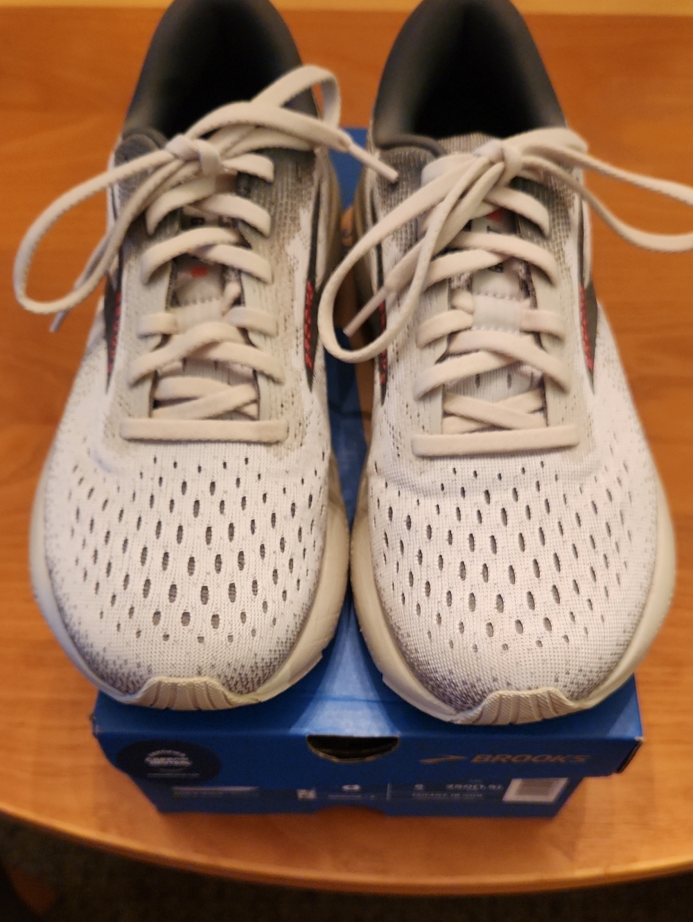 Brooks Ghost 16